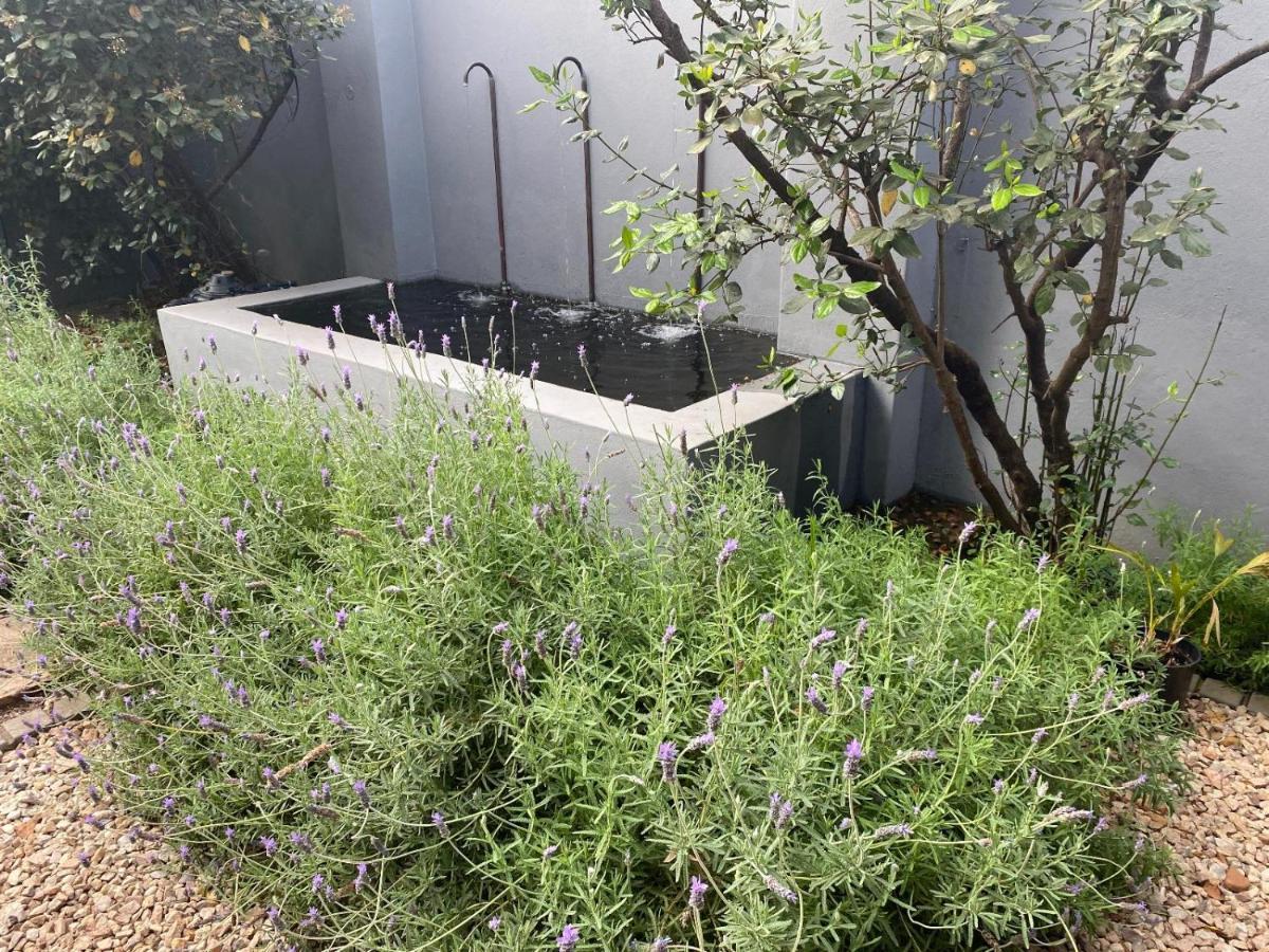 46 On Allcock Guest Apartment & Luxury Room Pretoria-Noord 外观 照片